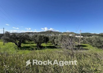 Terreno - Building land viale Magna Grecia, Catanzaro - photo 3