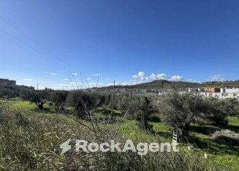 Terreno - Building land viale Magna Grecia, Catanzaro - photo 10
