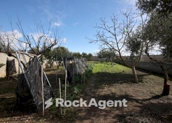 Terreno - Villa via Mesagne, San Donaci - photo 25