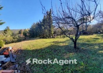 Terreno - Independent house via del Commercio, 53A, Castellina Marittima - photo 10