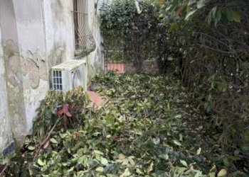 Giardino - Villa a Schiera via Oglio, 15, Montemurlo - foto 4