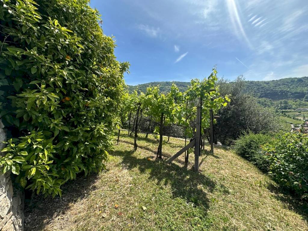 Terreno - Villa via Budria e Oliveti, Carobbio degli Angeli - photo 3