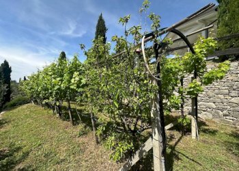 Terreno - Villa Carobbio Degli Angeli, Carobbio degli Angeli - foto 11