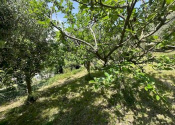 Terreno - Villa Carobbio Degli Angeli, Carobbio degli Angeli - foto 33