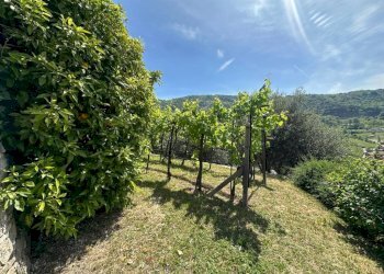 Terreno - Villa Carobbio Degli Angeli, Carobbio degli Angeli - foto 34