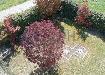 Giardino - Villa via Maria Montessori, Russi - photo 39