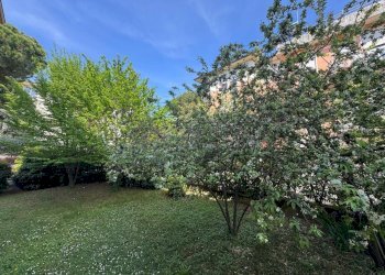 WhatsApp Image 2026-04-13 at 15.21.34 (10).jpeg - Three-room apartment Bassano del Grappa - photo 13