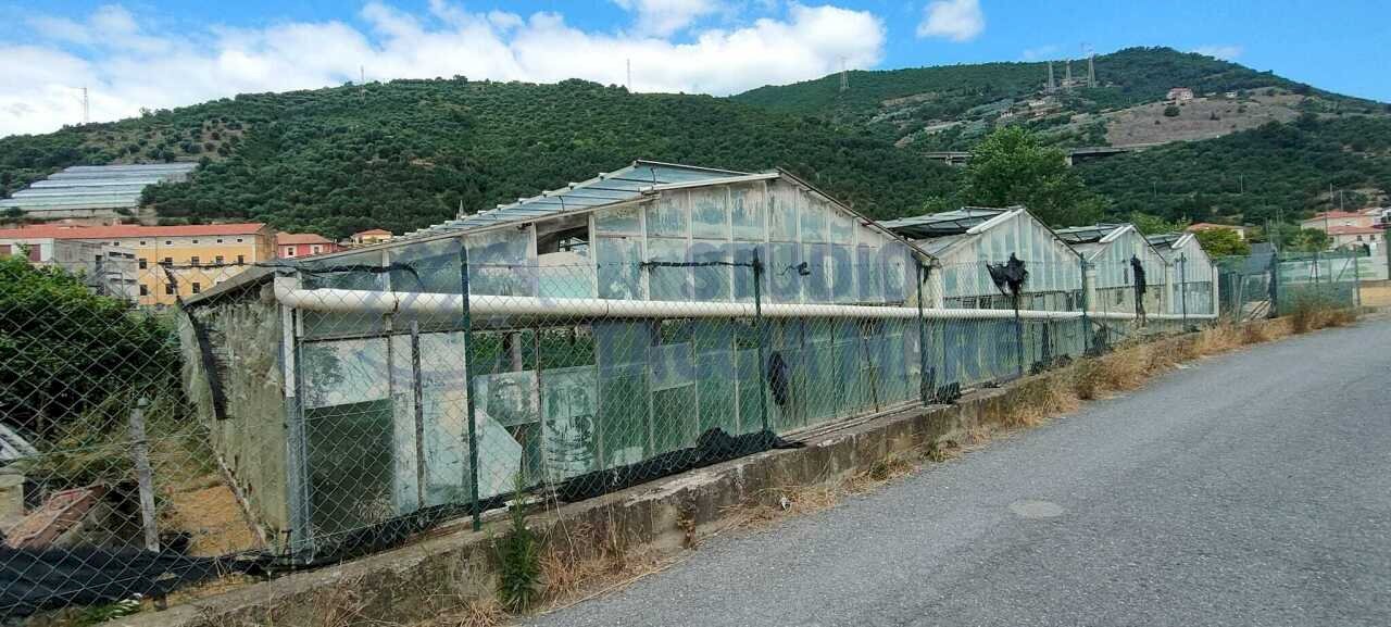 5b2eeb0d-b610-4098-85d8-754766e48815.jpg - Terreno agricolo Argine Sinistro, Taggia - foto 1