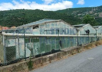 5b2eeb0d-b610-4098-85d8-754766e48815.jpg - Agricultural land Argine Sinistro, Taggia - photo 1
