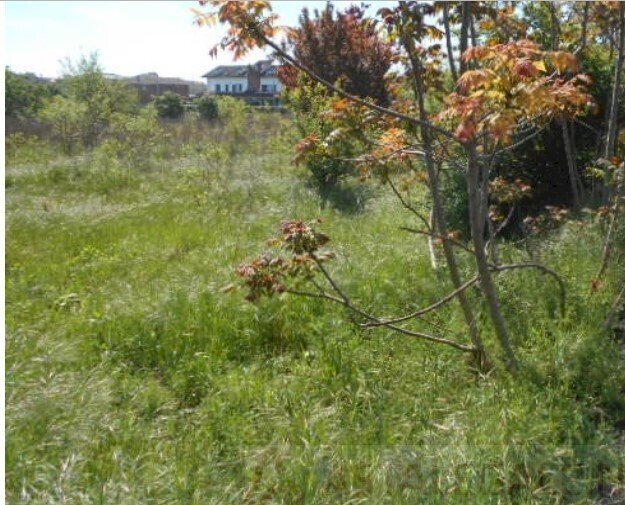 4.jpg - Building land at auction Via Ernesto Torre 23, Alessandria - photo 3