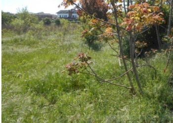 4.jpg - Building land at auction Via Ernesto Torre 23, Alessandria - photo 3
