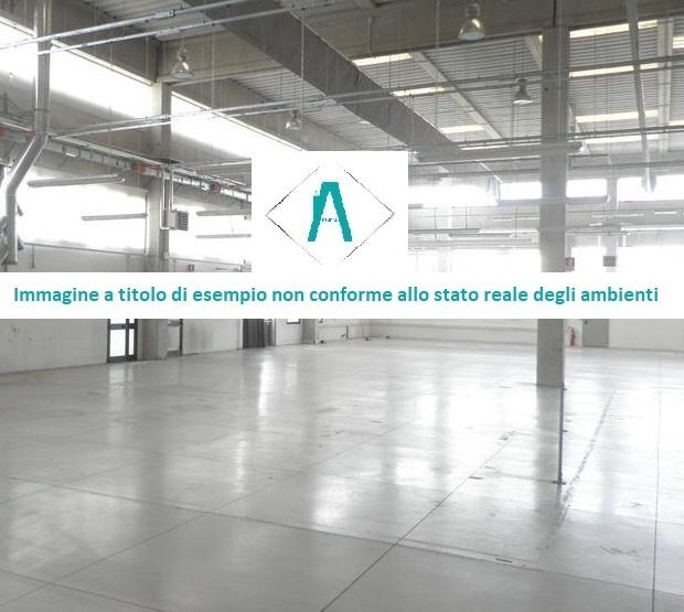 capannone 2.jpg - Warehouse Lungobisagno Dalmazia 33, Genova (neighborhood Molassana) - photo 3
