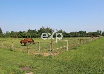 Villa Via Risorgimento, Cadorago - photo 13