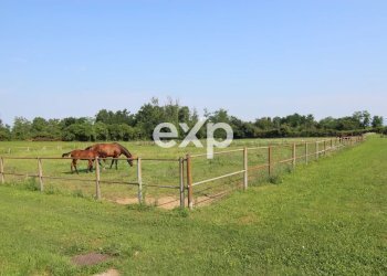Villa Via Risorgimento, Cadorago - photo 14