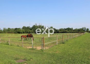 Villa Via Risorgimento, Cadorago - photo 15