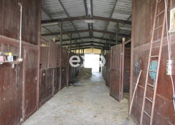 Villa Via Risorgimento, Cadorago - photo 36