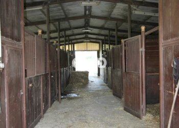 Villa Via Risorgimento, Cadorago - photo 37