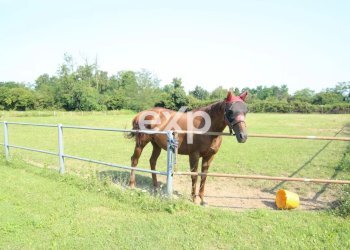 Villa Via Risorgimento, Cadorago - photo 40