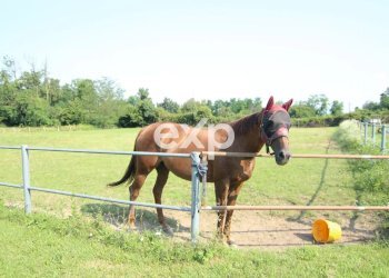 Villa Via Risorgimento, Cadorago - photo 41
