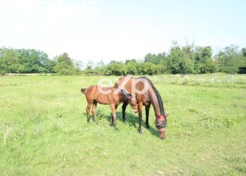 Villa Via Risorgimento, Cadorago - photo 42
