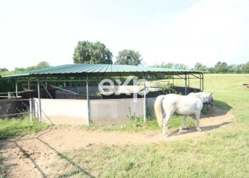 Villa Via Risorgimento, Cadorago - photo 46