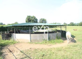 Villa Via Risorgimento, Cadorago - photo 49