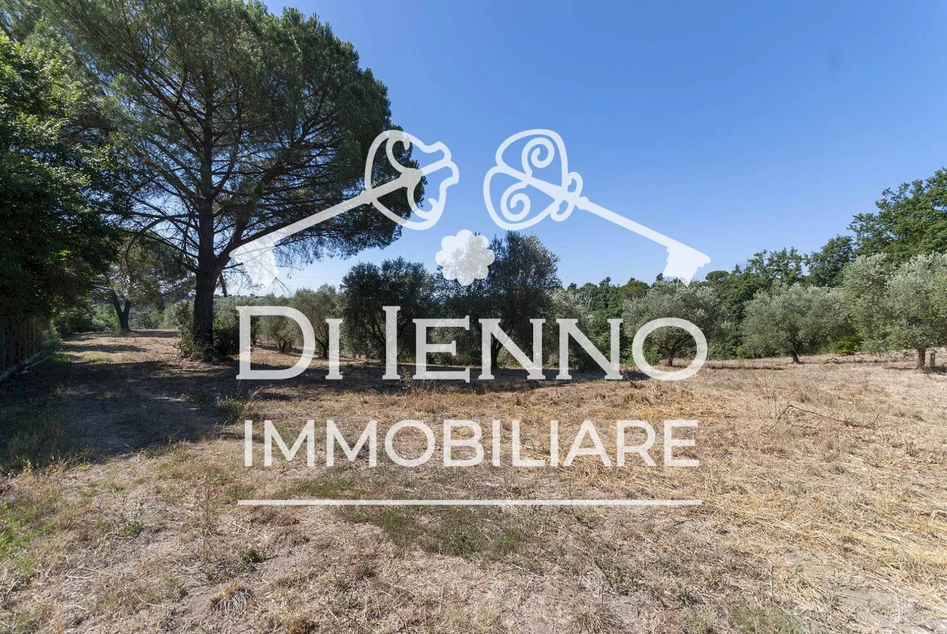 Agricultural land Via Mapello, Roma - photo 1