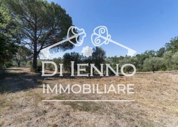 Agricultural land Via Mapello, Roma - photo 1