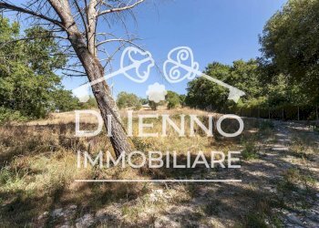 Agricultural land Via Mapello, Roma - photo 10