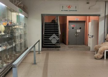 Negozio via semini, Genova (zona Pontedecimo) - foto 4