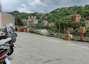 Negozio via semini, Genova (zona Pontedecimo) - foto 28