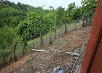 Independent house Marsaglia - photo 17