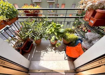 Two-room apartment Via Privata Varallo, Milano (neighborhood Cimiano) - photo 13