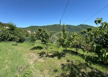 Semi-detached house Via G. Mereto, Serra Riccò - photo 26