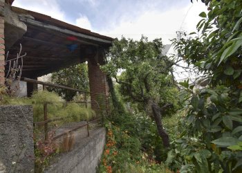 Giardino - Rustico Via Risorgimento
64, Pagliara - foto 26