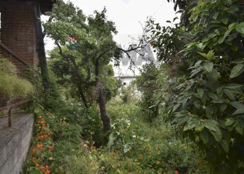 Giardino - Rustico Via Risorgimento
64, Pagliara - foto 27