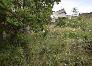 Giardino - Rustico Via Risorgimento
64, Pagliara - foto 35