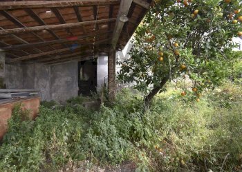 Giardino - Rustico Via Risorgimento
64, Pagliara - foto 38
