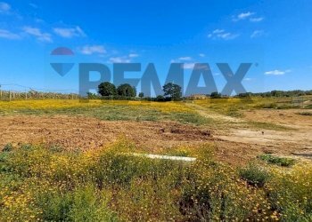 Giardino - Building land Via Verdi
88, Anzio - photo 4
