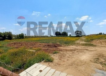 Giardino - Building land Via Verdi
88, Anzio - photo 5