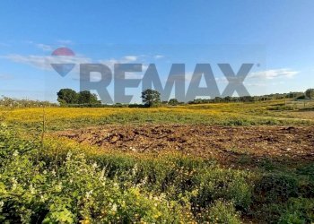 Giardino - Building land Via Verdi
88, Anzio - photo 13