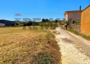 Giardino - Building land Via Verdi
88, Anzio - photo 15