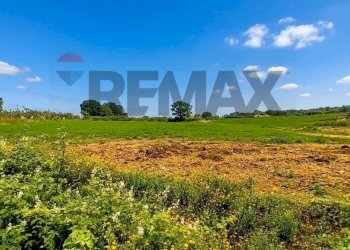 Giardino - Building land Via Verdi
88, Anzio - photo 16