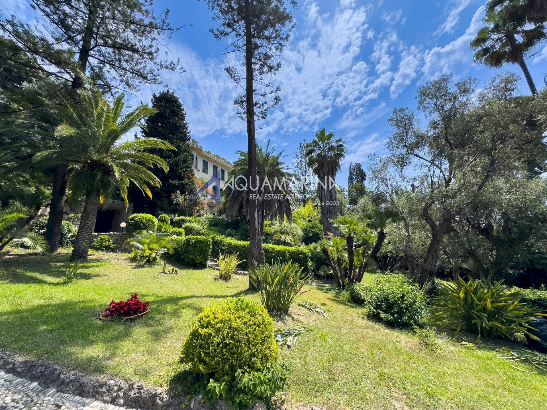 Foto 1 - Three-room apartment Bordighera - photo 1