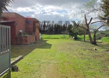 Giardino - Casa indipendente Galatina - foto 1