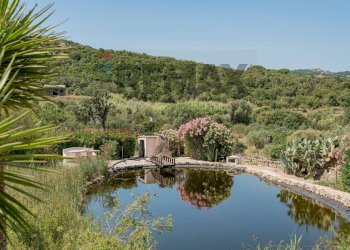 lago privato - Villa Via Zara Vicolo C, 33-27, Arzachena - photo 5