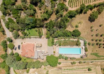 simulazione con AI della trasformazione lago in piscina - Villa Via Zara Vicolo C, 33-27, Arzachena - photo 28