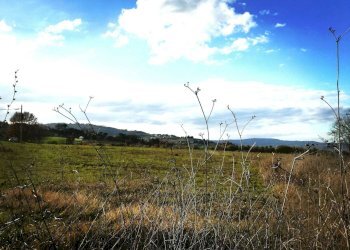 Foto 3 - Building land Via Lenin
snc, Marsciano - photo 3