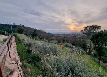 Foto 10 - Villa Torgiano - photo 10