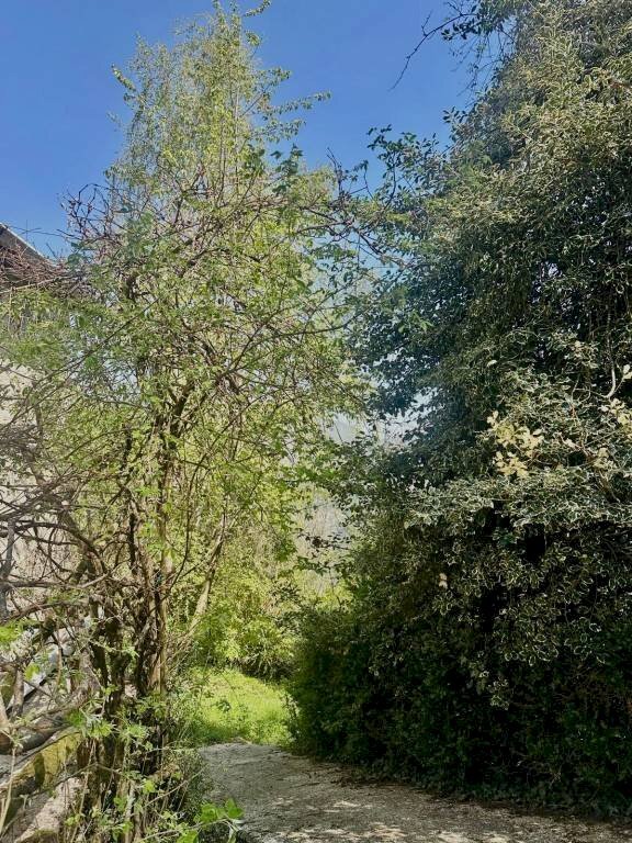 Terreno - Rustico via San Rocco, Pertica Alta - foto 1